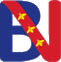 logo-blunavy